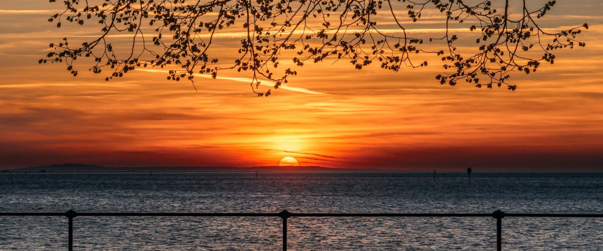 Sonnenuntergang in den Seeanlagen Bregenz